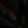 earriaga96
